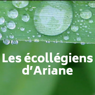 Les écollégiens d'Ariane